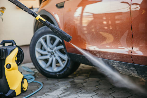 Best Roof Pressure Washing  in Sault Ste Marie, MI